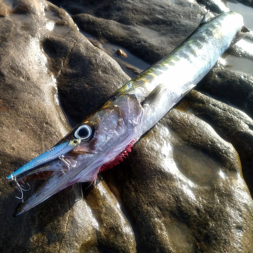 GOBAIT VIB Fishing Lure 20g 25 – обзор и цена Fishing Lure Blade Bait